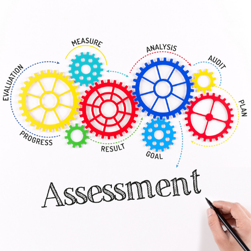 Assessment